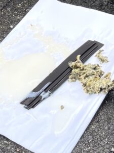 グンナ 長命草 旅 旅行 沖縄 八重山 クバ DANCE tradition okinawa yonaguni 甲子 踊り 太鼓 祭壇 まつり 祭り 宴会 伝統 承継 伝承 親族 一族 集い 家族 社会 ハト 沖縄 与那国島 比川集落 本家 マチリ 拝所 トゥニ 御嶽 10干 陰陽五行説 庚申 食事 12支 杯 ワダツミ 海神 トゥニ ビディリ