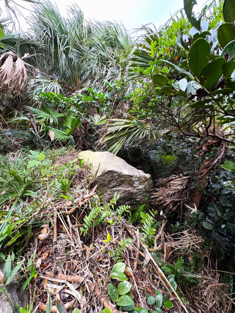 旅 旅行 沖縄 八重山 与那国 与那国島 祖納 比川 久部良 ダヌチン岳 久部良水神 にディリ トゥニ 御嶽 拝所 山 岳 シュウダ ヘビ 蛇 磐座 巨石 神 信仰 根 ミミイシ ミミシ どなん 花酒 泡盛 地図 冒険 探検 宝探し 好奇心