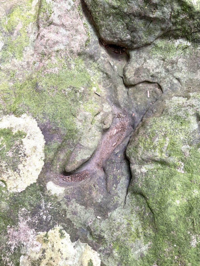 旅 旅行 沖縄 八重山 与那国 与那国島 祖納 比川 久部良 ダヌチン岳 久部良水神 にディリ トゥニ 御嶽 拝所 山 岳 シュウダ ヘビ 蛇 磐座 巨石 神 信仰 根 ミミイシ ミミシ どなん 花酒 泡盛 地図 冒険 探検 宝探し 好奇心