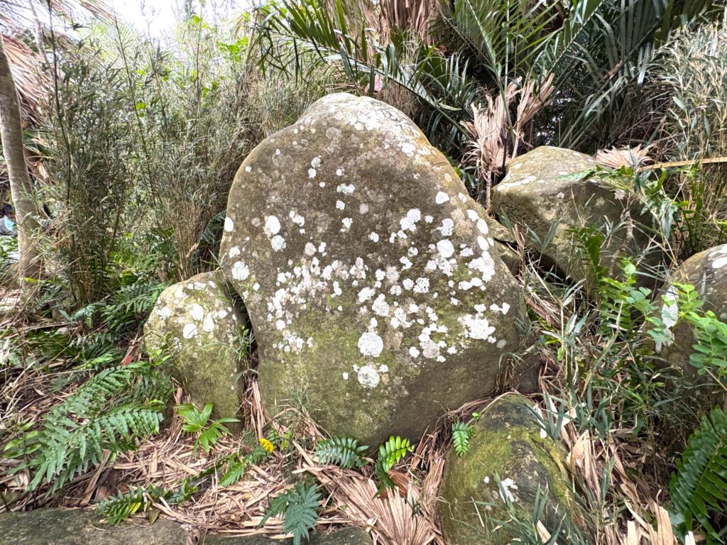 旅 旅行 沖縄 八重山 与那国 与那国島 祖納 比川 久部良 ダヌチン岳 久部良水神 にディリ トゥニ 御嶽 拝所 山 岳 シュウダ ヘビ 蛇 磐座 巨石 神 信仰 根 ミミイシ ミミシ どなん 花酒 泡盛 地図 冒険 探検 宝探し 好奇心