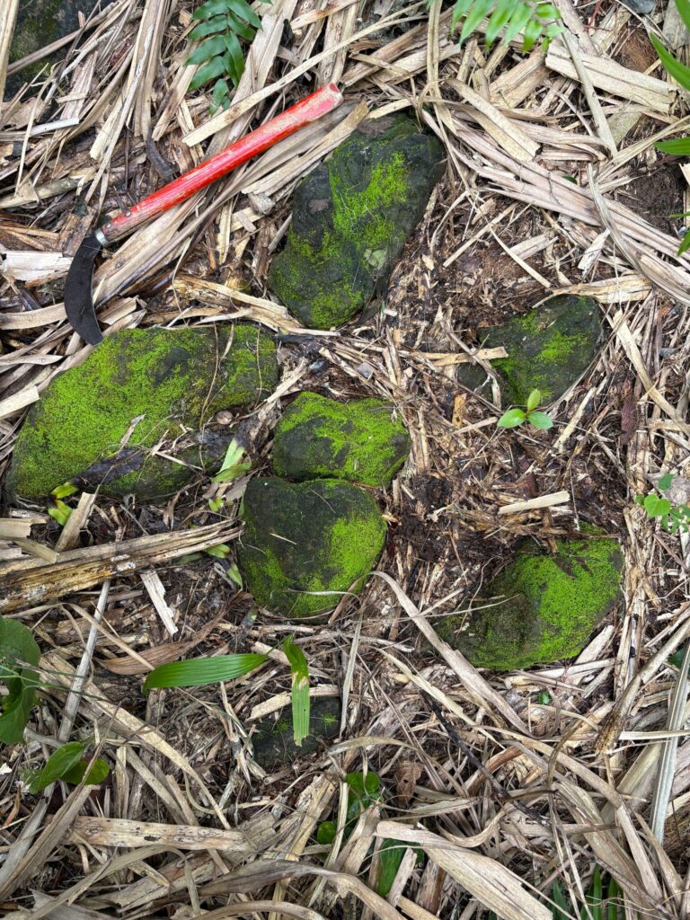 旅 旅行 沖縄 八重山 与那国 与那国島 祖納 比川 久部良 ダヌチン岳 久部良水神 にディリ トゥニ 御嶽 拝所 山 岳 シュウダ ヘビ 蛇 磐座 巨石 神 信仰 根 ミミイシ ミミシ どなん 花酒 泡盛 地図 冒険 探検 宝探し 好奇心