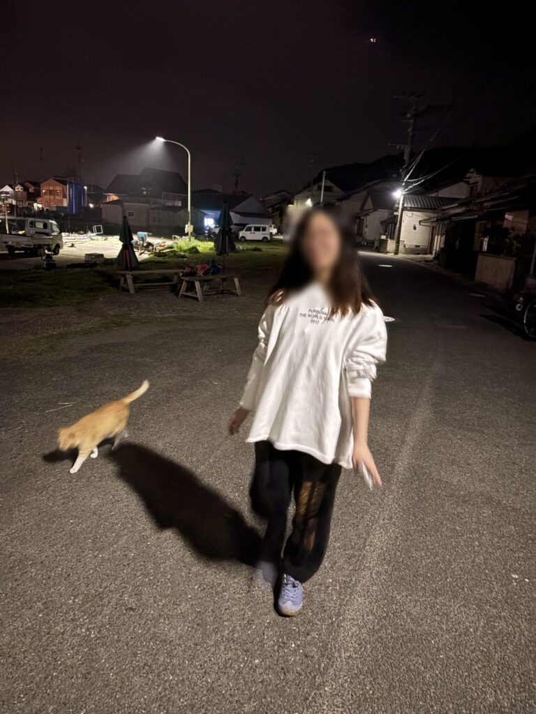 相島　鼻栗瀬　めがね岩　積石塚　支石墓　高妻神社　猫島　磐座