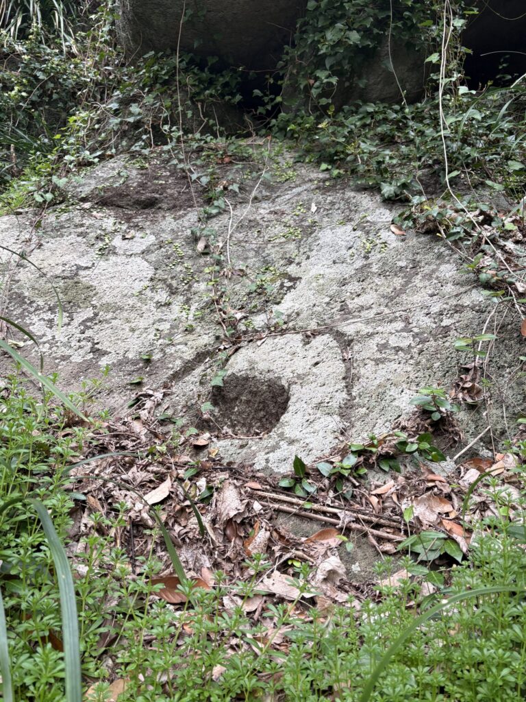 相島　鼻栗瀬　めがね岩　積石塚　支石墓　高妻神社　猫島　磐座