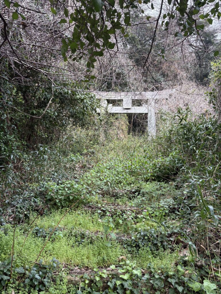 相島　高妻神社　鳥居