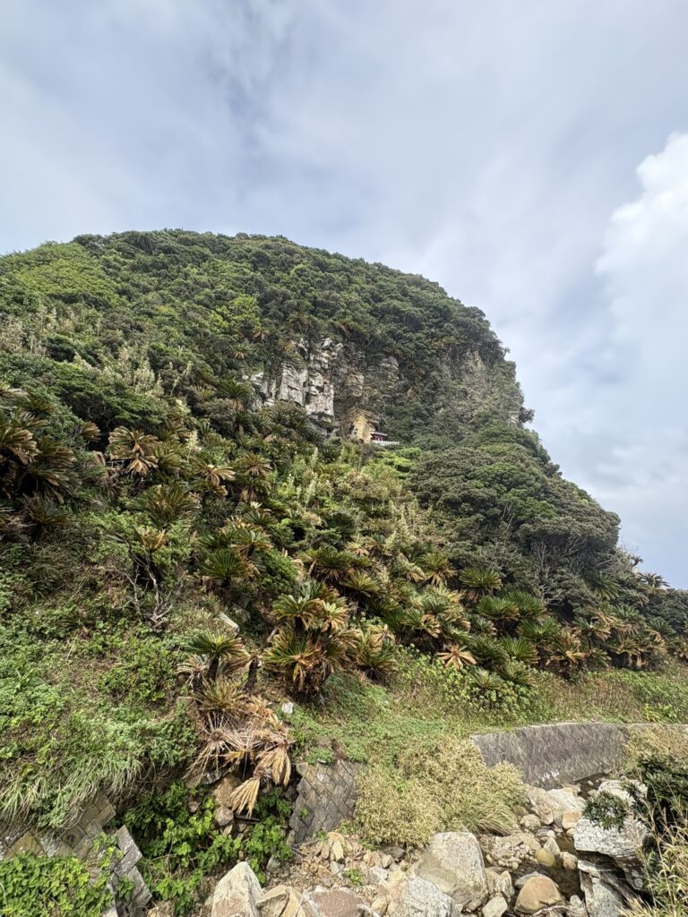 宮崎観光 鵜戸神宮 都井岬 野生馬 日本固有種 旅 旅行 神社 海神神社