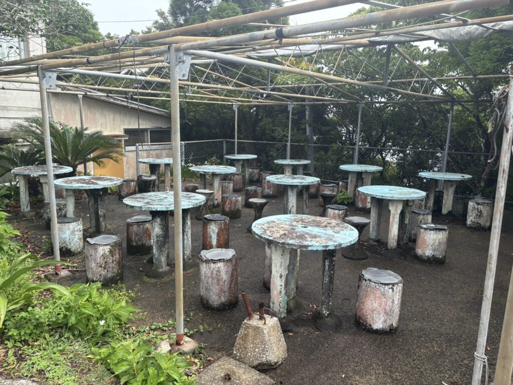 宮崎観光 鵜戸神宮 都井岬 野生馬 日本固有種 旅 旅行 神社 海神神社