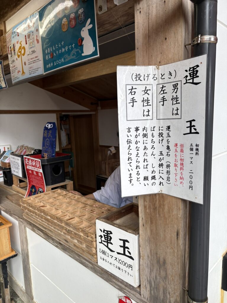 宮崎観光 鵜戸神宮 都井岬 野生馬 日本固有種 旅 旅行 神社 海神神社