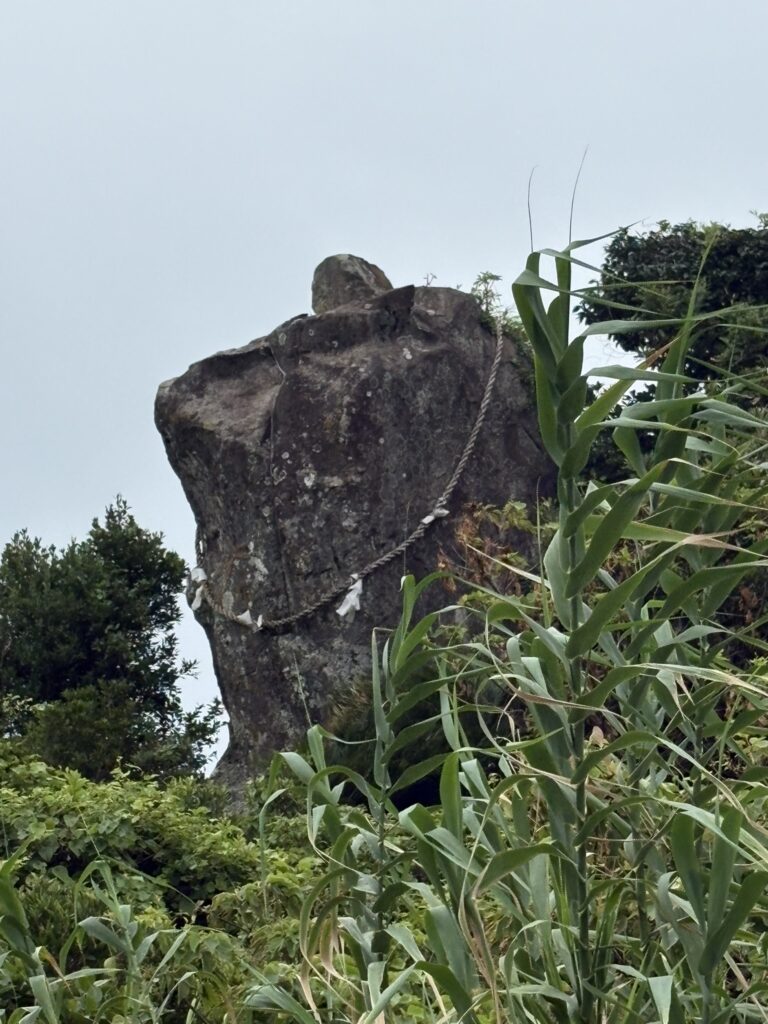 宮崎観光 鵜戸神宮 都井岬 野生馬 日本固有種 旅 旅行 神社 海神神社