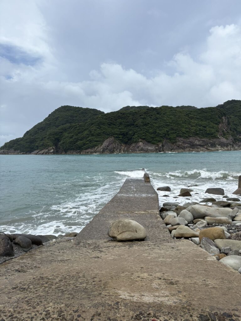 幸島 猿 100匹目の猿 桟橋 海 宮崎県