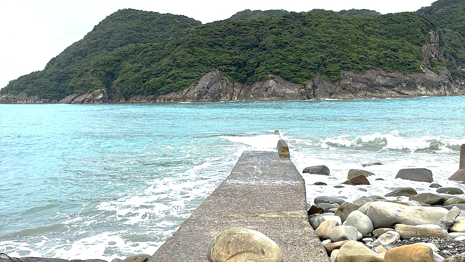 幸島　旅　猿　旅行